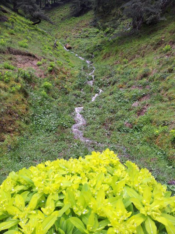 Auberge La Bergerie سانت-ماري-دي-كامبان المظهر الخارجي الصورة